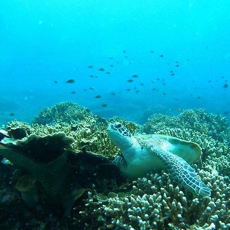 4 Sisters Divers Bunaken Exteriér fotografie