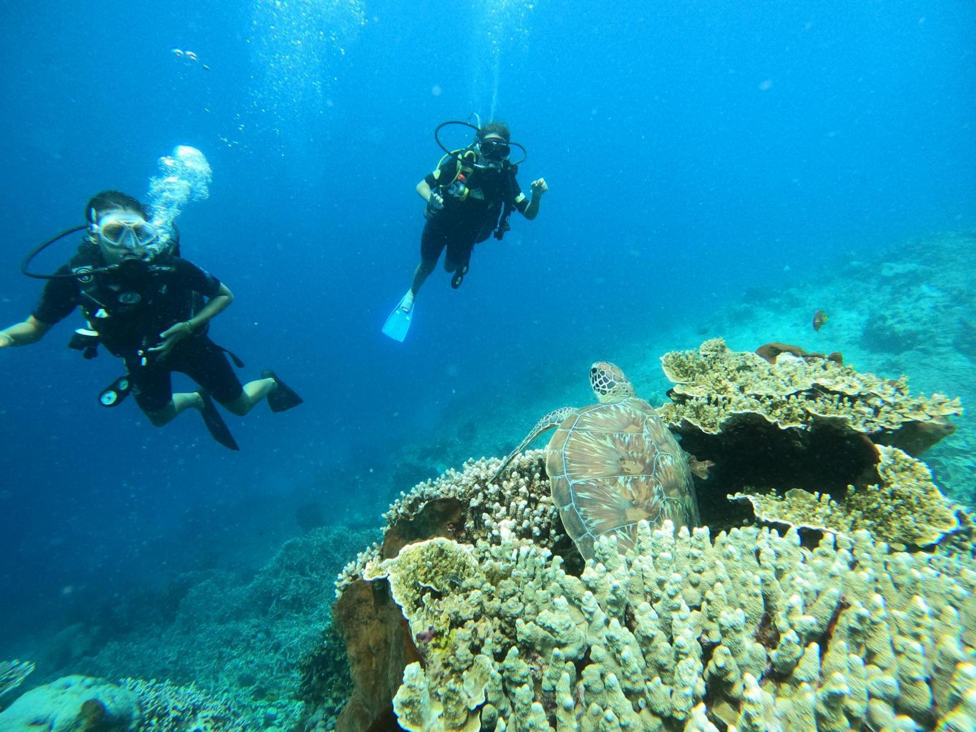 4 Sisters Divers Bunaken Exteriér fotografie