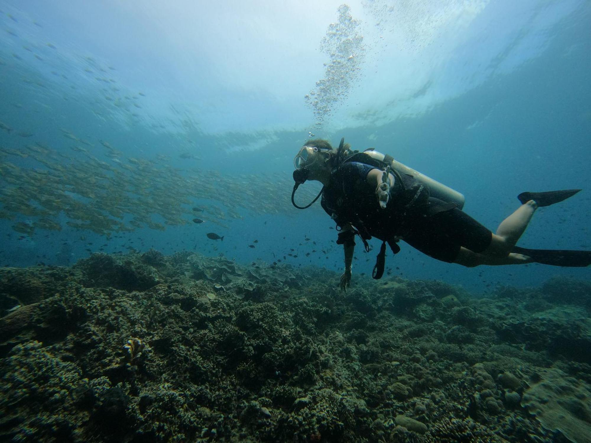 4 Sisters Divers Bunaken Exteriér fotografie