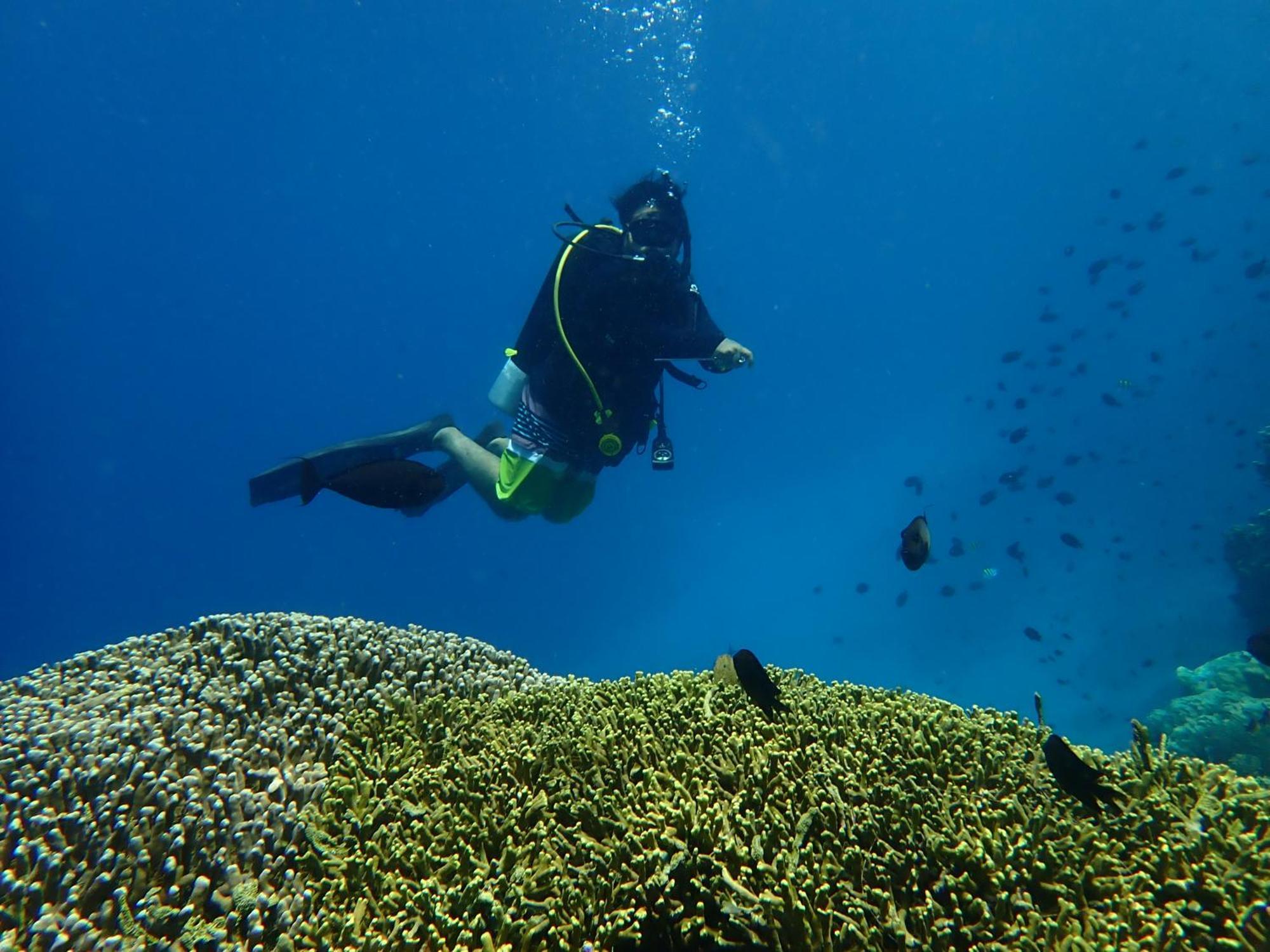 4 Sisters Divers Bunaken Exteriér fotografie